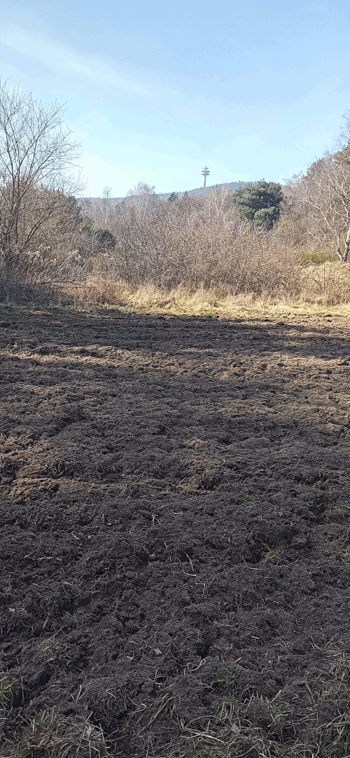 Gelaende in Leistadt