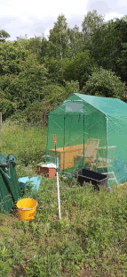 kleines Gewaechshaus